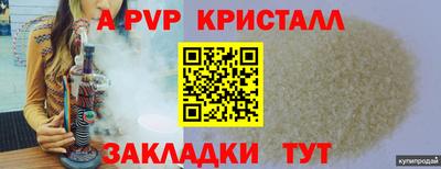 стафф Кинель