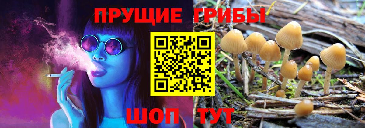 Псилоцибиновые грибы мухоморы Новокузнецк